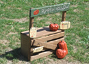 Pumpkin Hollow Photos